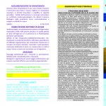 4_ante_gsl_2019-2020_versione-modificata-maggio-2019_pagina_1